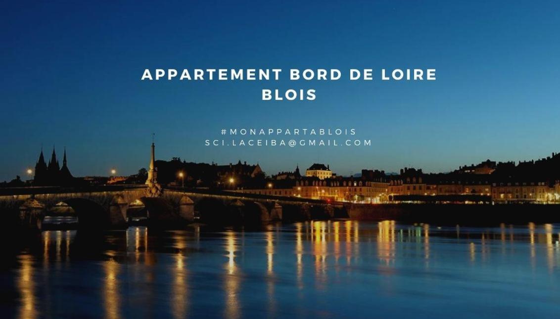 Апартаменти Duplex 60 M2 Bord De Loire Блуа Екстер'єр фото